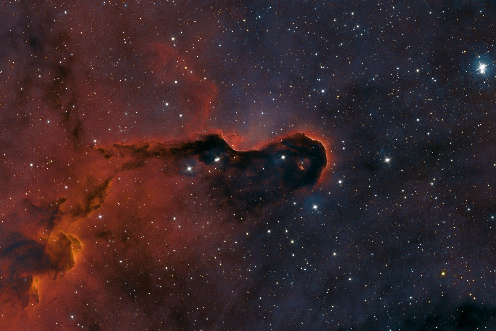 Elephant's Trunk, IC 1396A, processed