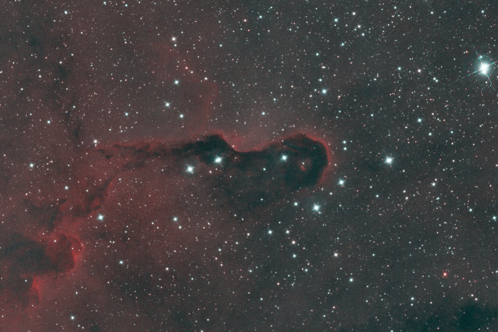 Elephant's Trunk, IC 1396A, plain stretch