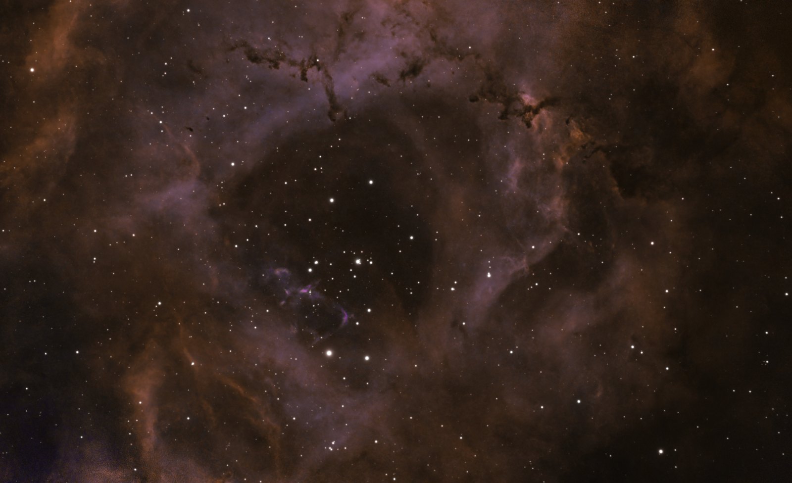 Rosette Nebula, NGC 2237 and cluster NGC 2244, processed