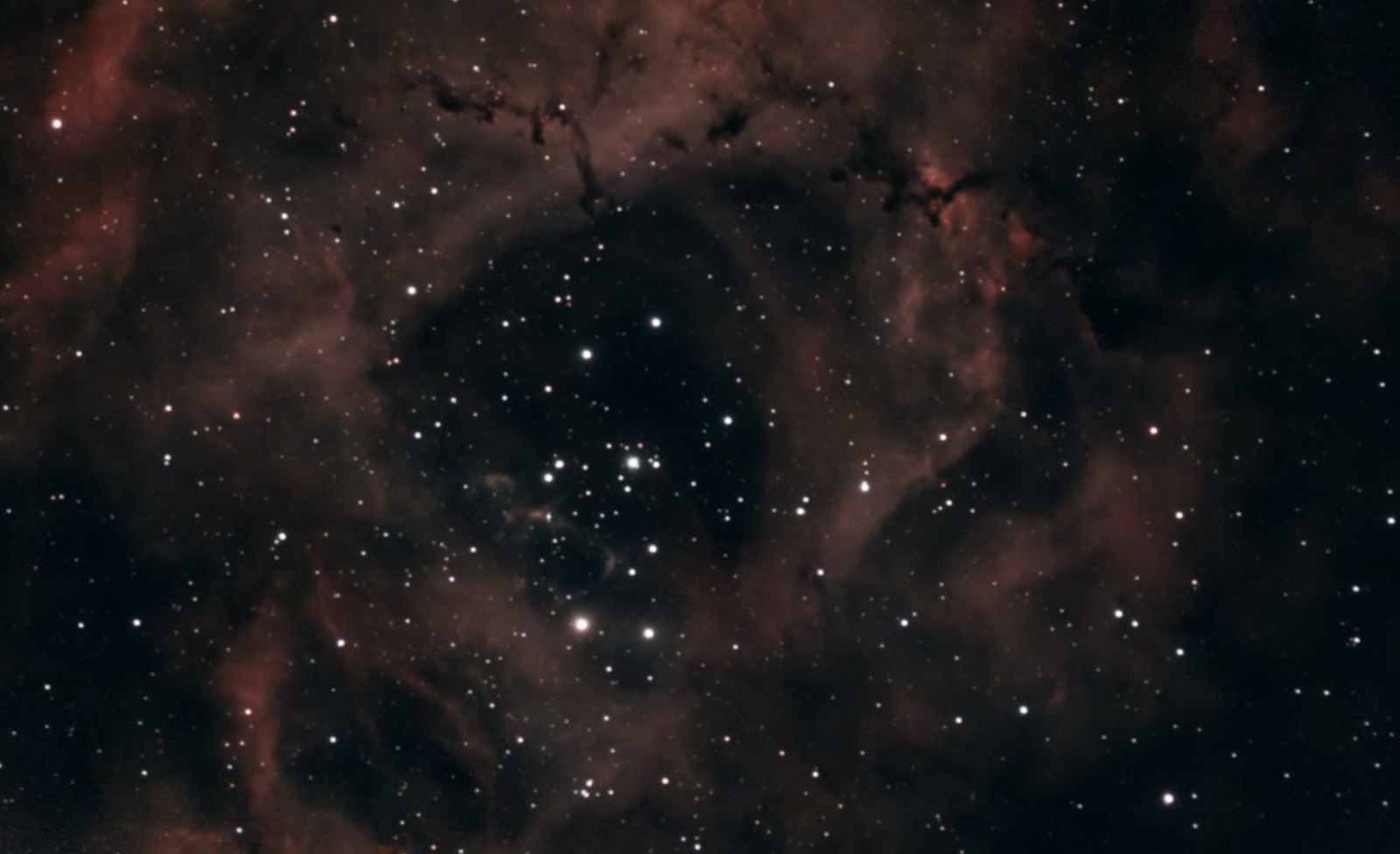 Rosette Nebula, NGC 2237 and cluster NGC 2244, Seestar app