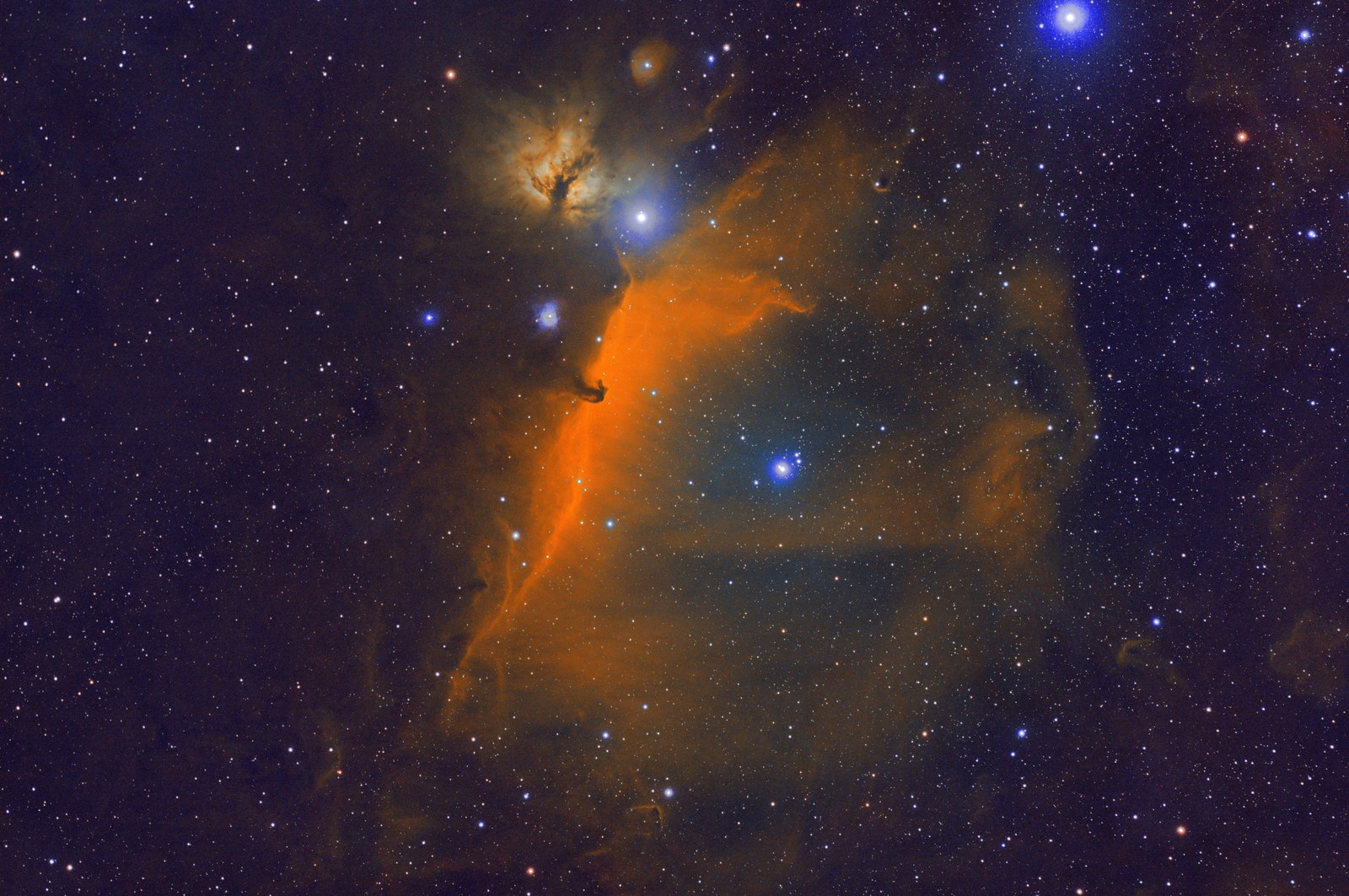 Horsehead, B33